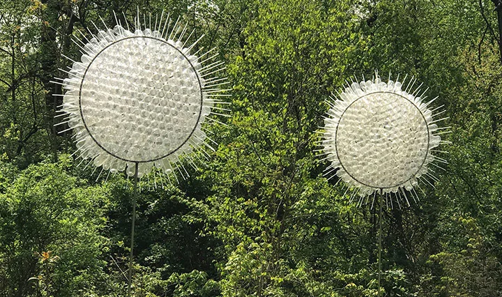 SUNFLOWERS , 2017, Wildflower Sculpture Park, South Orange, NJ