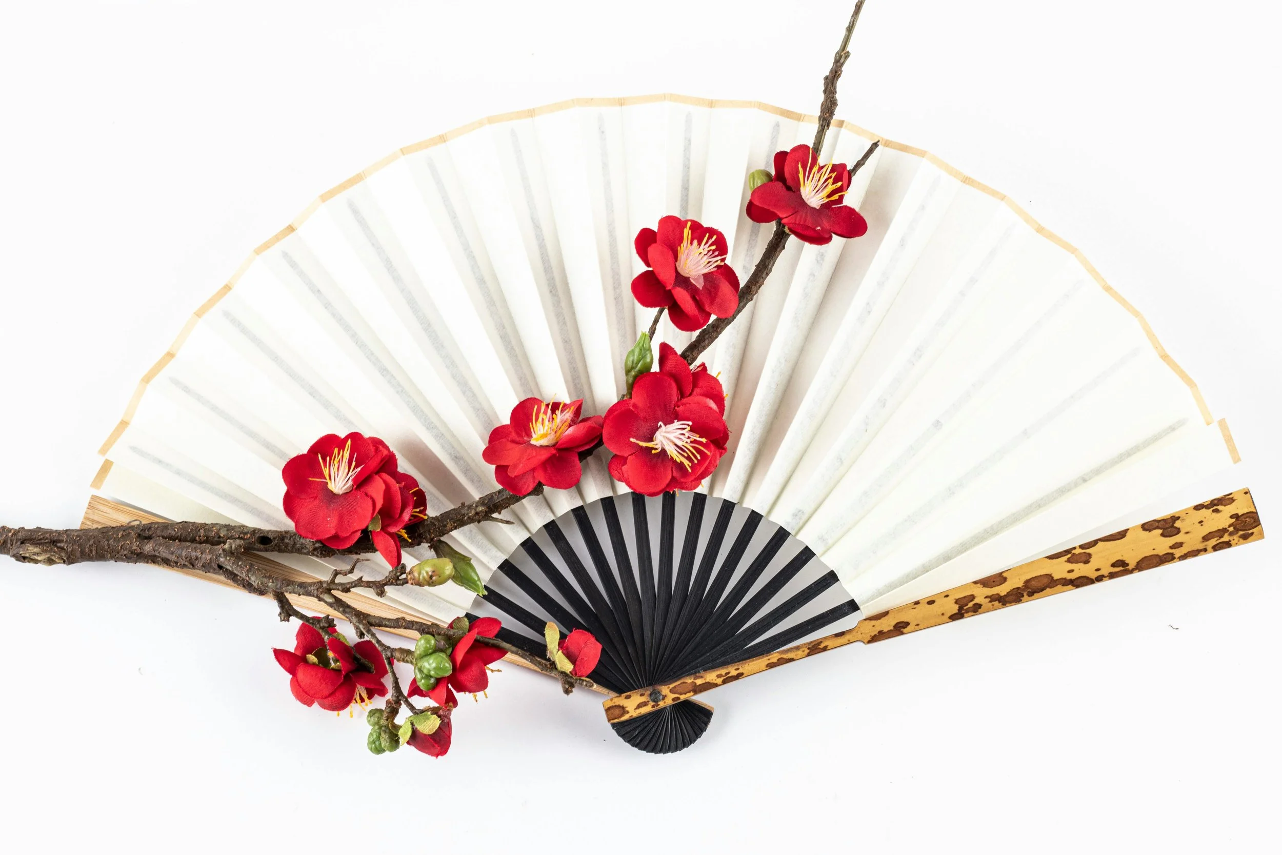 T'ai chi Fan Workshop at Topanga Nursery -12 spots Available 