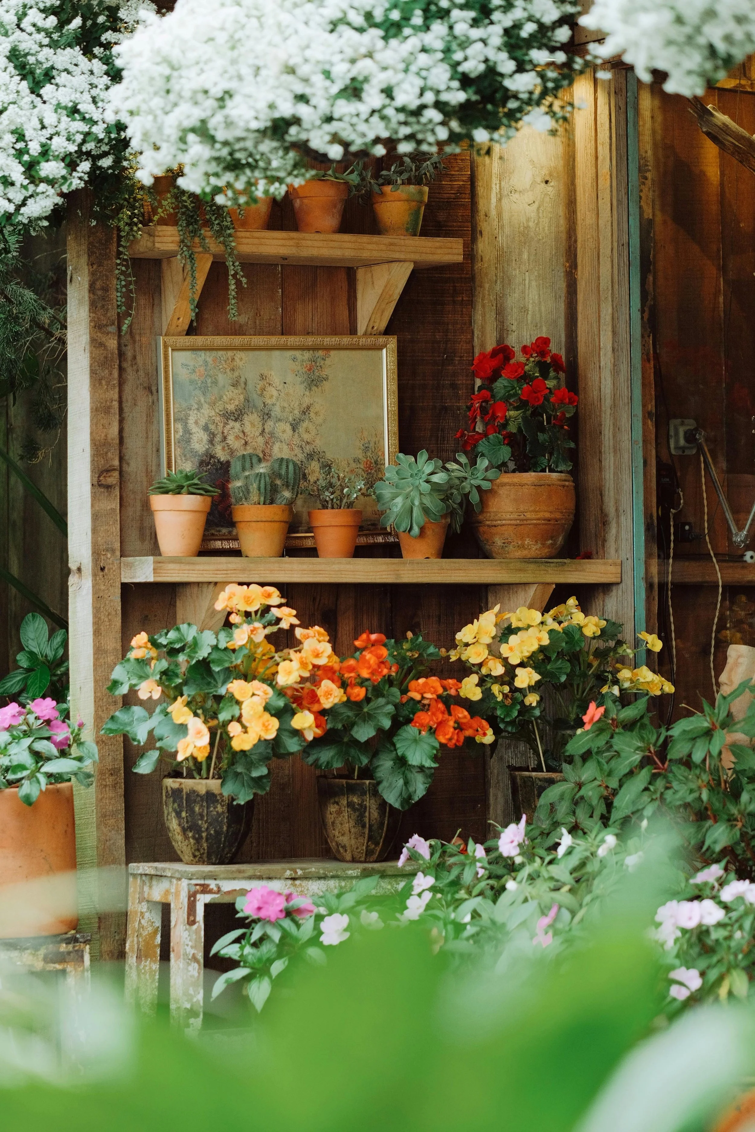 T'ai Chi at Topanga Nursery - 12 Spots available