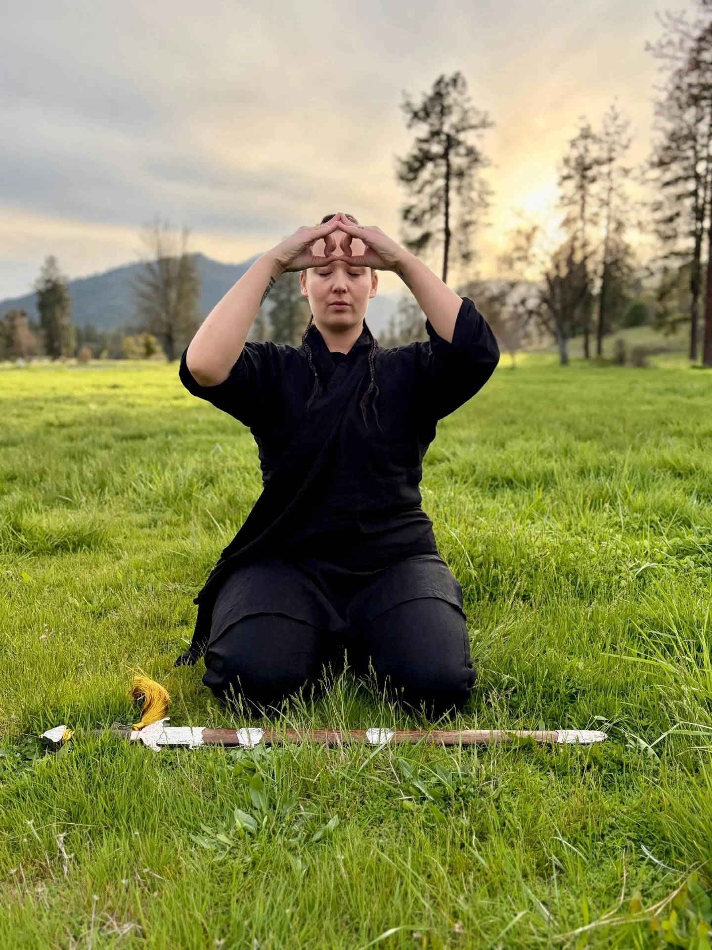 T'ai Chi at Topanga Nursery - 9/22/2026 - 12 spots available
