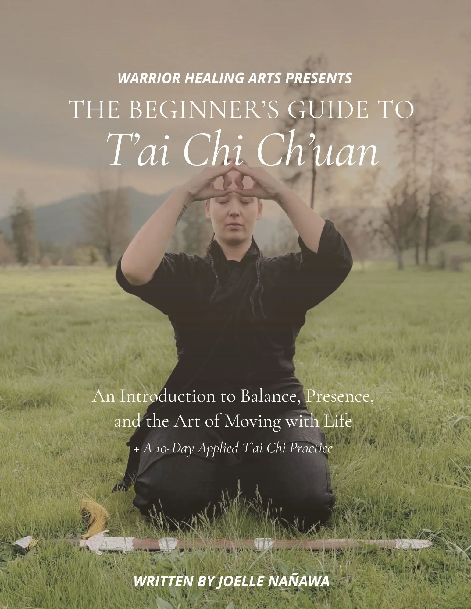 The Beginner's Guide to T'ai Chi Chuan