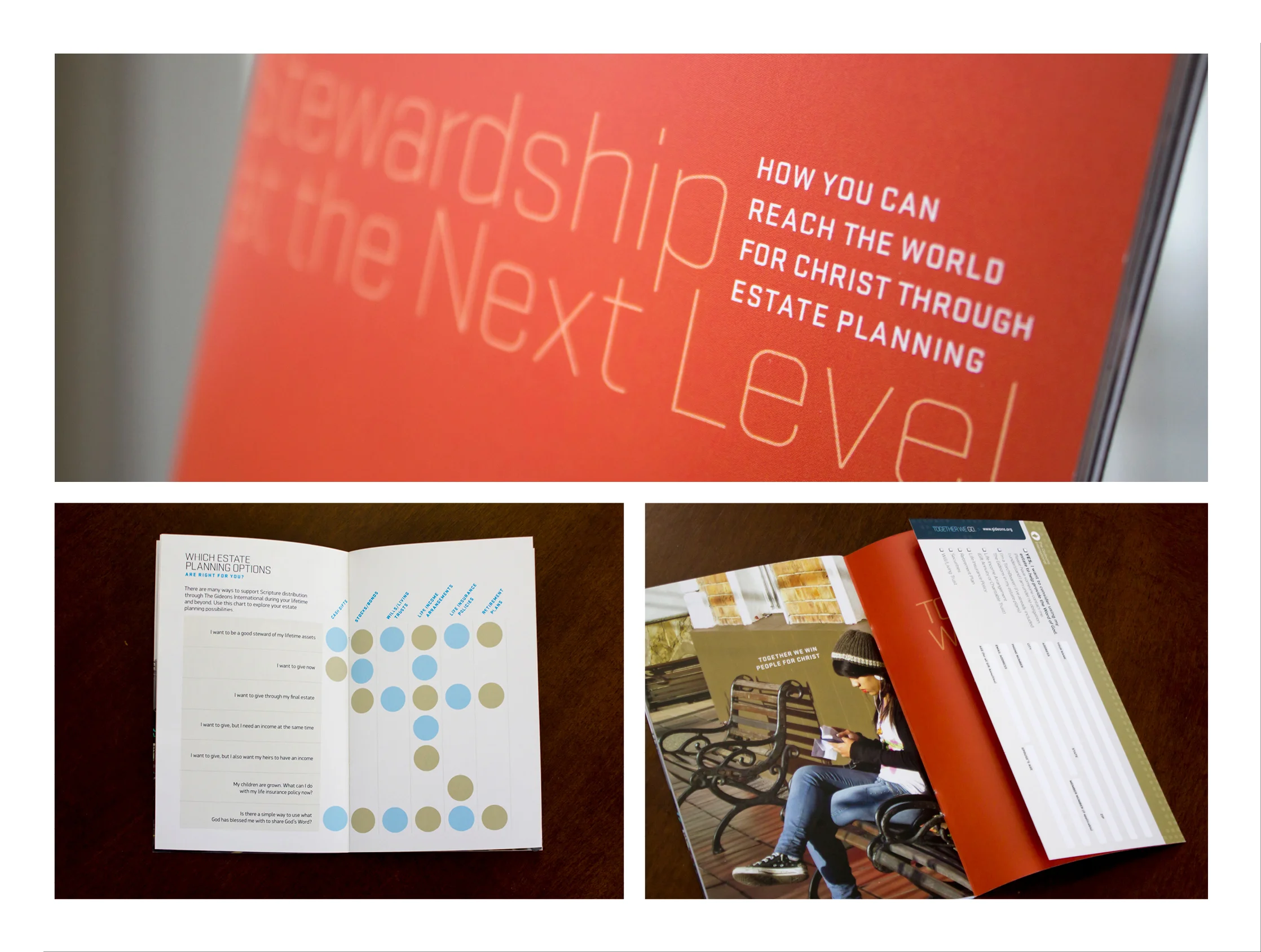brochure5.jpg