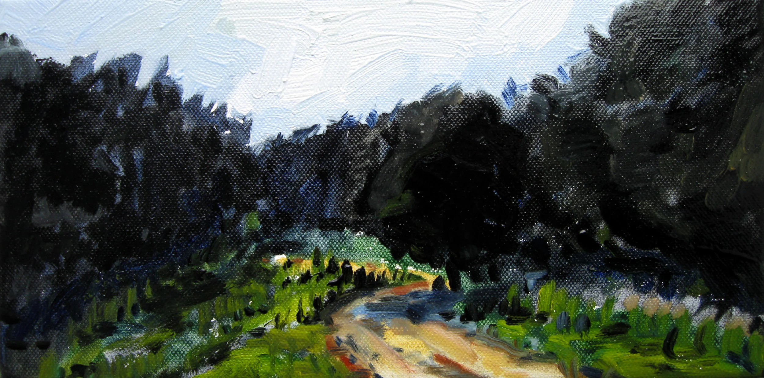 into the wood