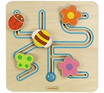 Insect Sliding Maze.jpg