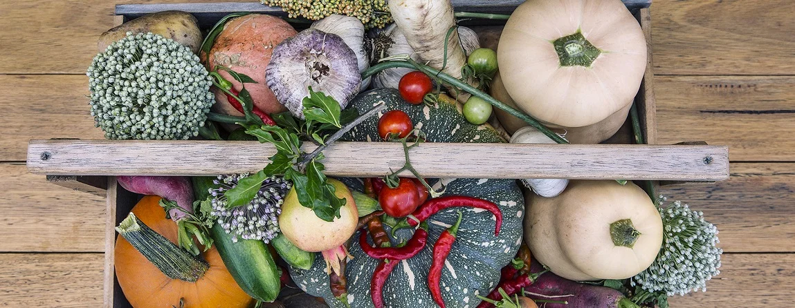local-markets-hunter-valley.jpg
