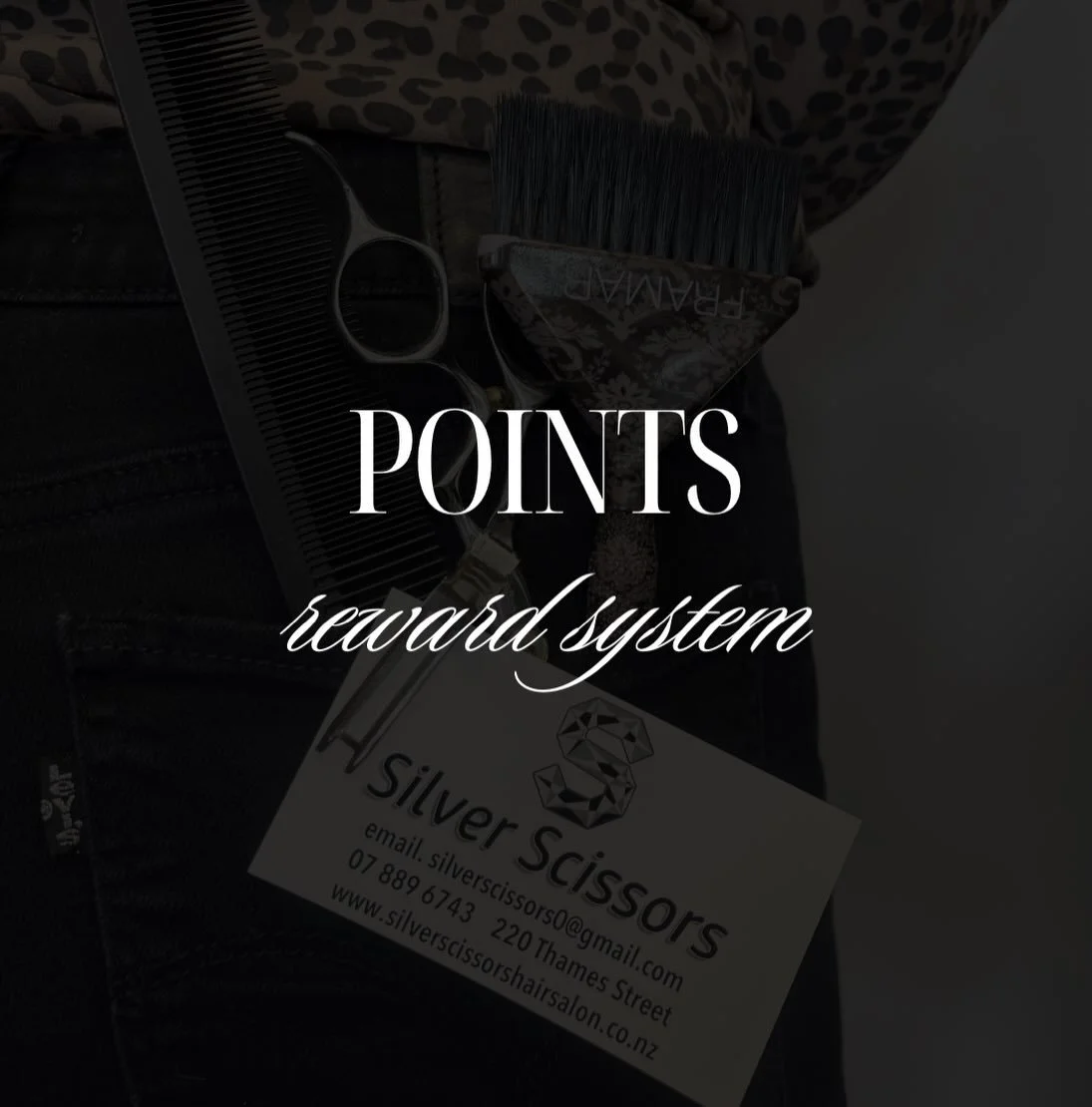 At Silver Scissors, we love rewarding our fabulous clients with our exclusive Points System.

For every $40 spent in salon, you will receive 1 point. Your accumulated points can then be redeemed as dollar value towards a Schwarzkopf product of your c