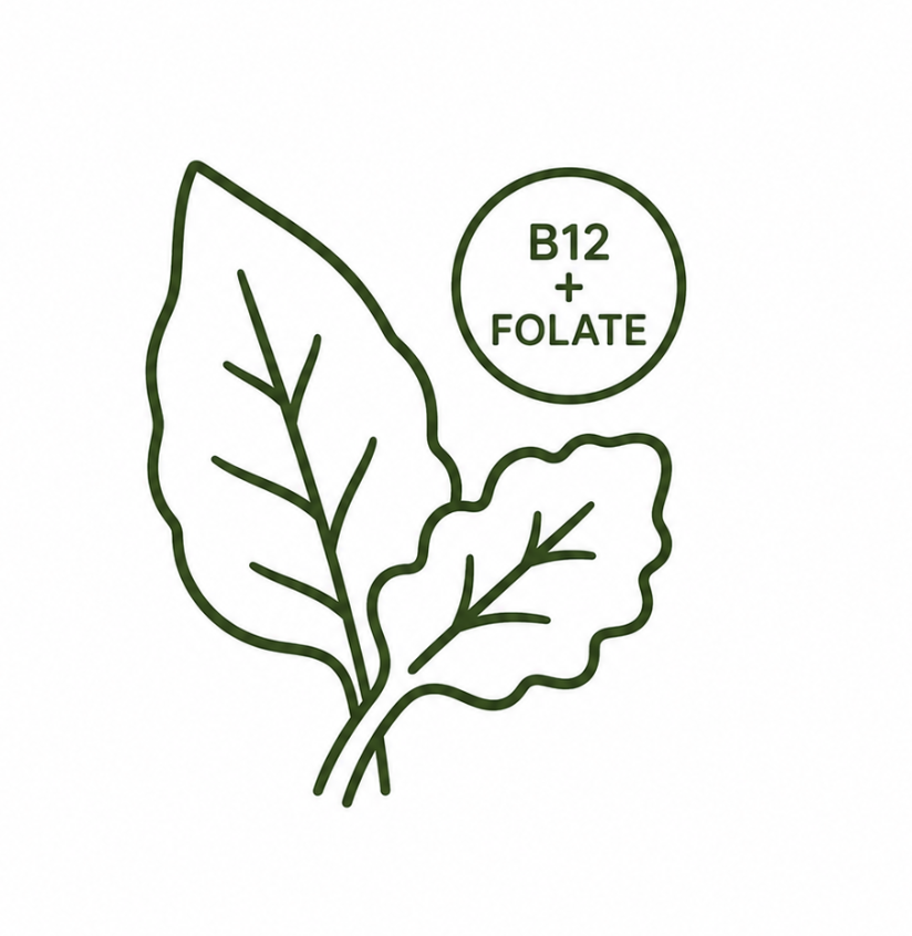 Line drawing of two green leaves with veins, accompanied by a circular label that reads 'B12 + FOLATE'.