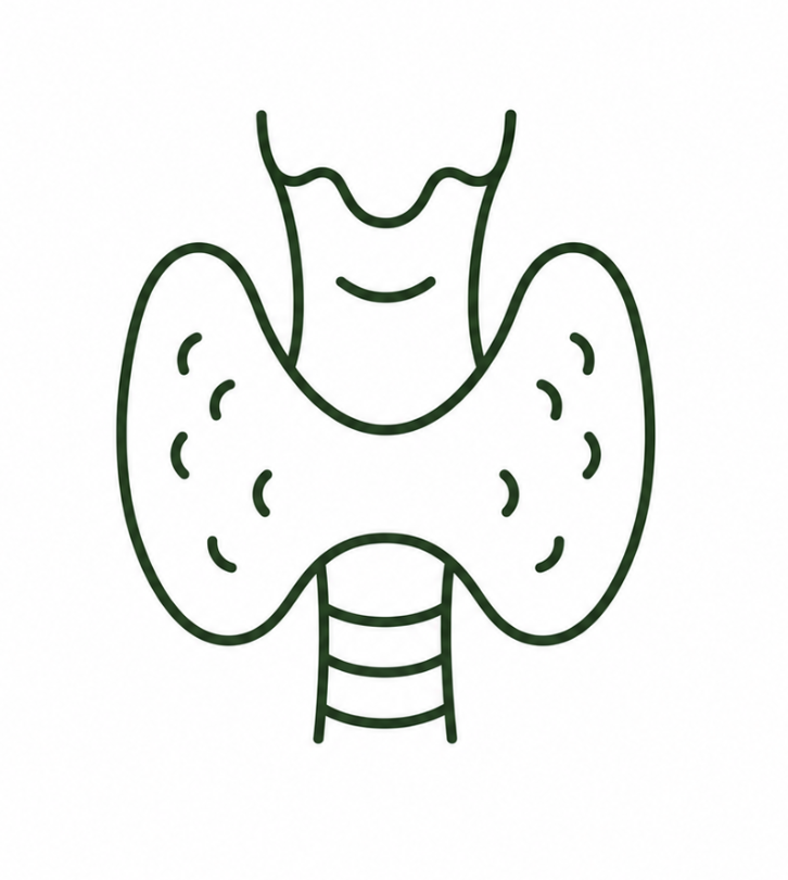 underactive thyroid