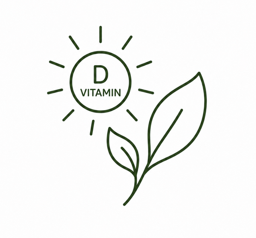 A simple line drawing of a sun with the words "D Vitamin" inside, and a plant with two leaves, representing the connection between sunlight, vitamin D, and natural health.
