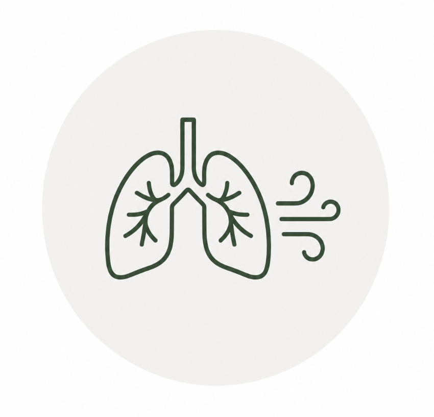 Minimalist illustration of lungs with airborne particles and airflow lines, representing breathing or respiratory health.