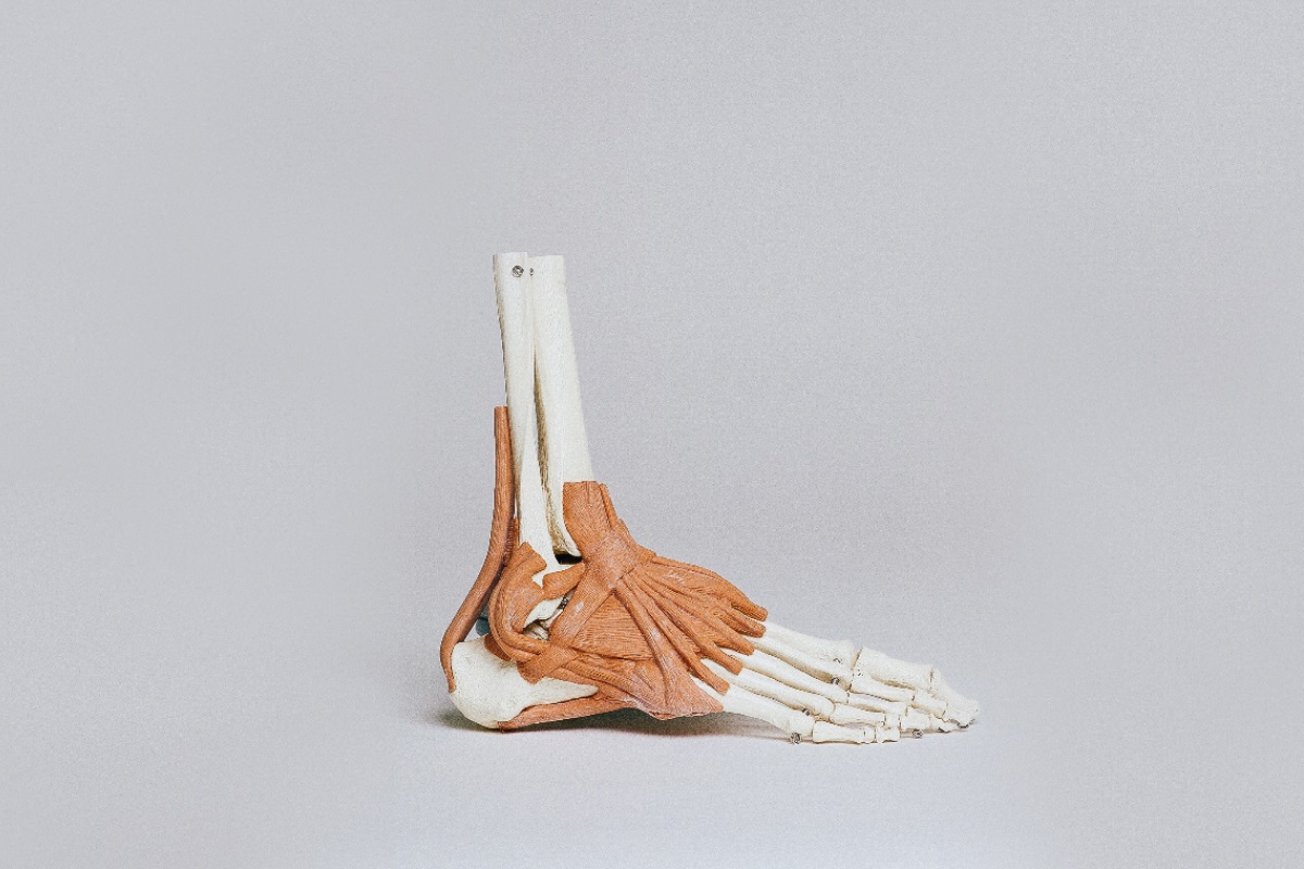 Podiatry 