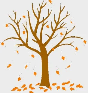 fall.jpg