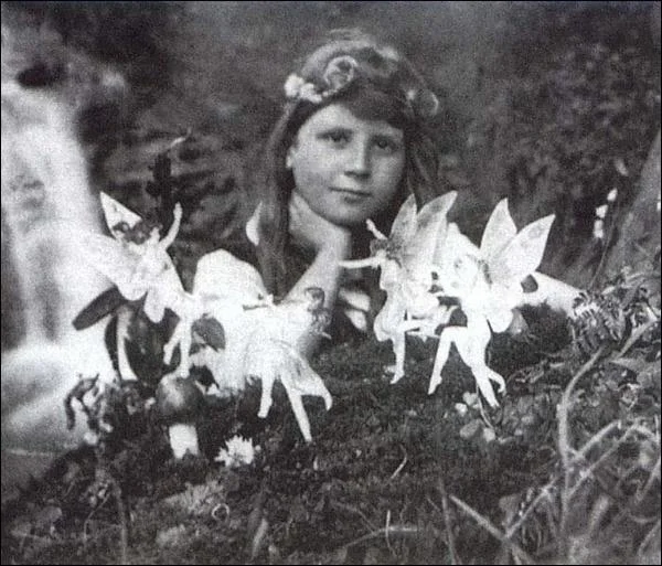 fairies