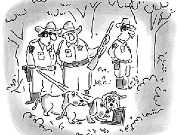 What does a story smell like?