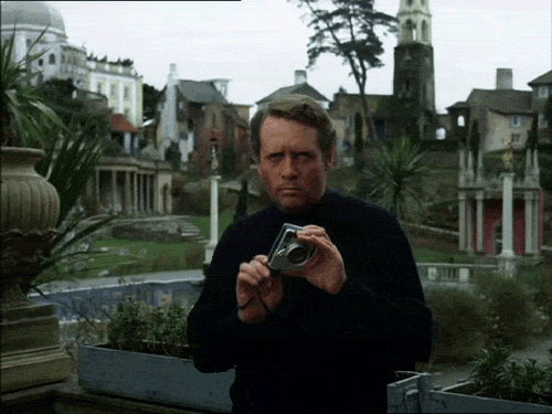 writers-secret-revealed-GregariousNewGazelle-size_restricted.gif