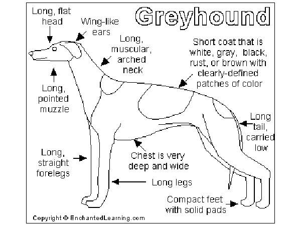 As if I needed a reminder that advertising is not brain surgery....