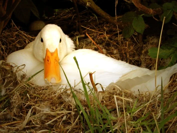 You can't make this stuff up.