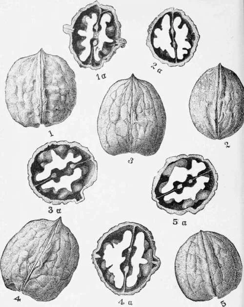 You know how you felt about that crazy boyfriend you once lived with?  That's how I feel about my book.