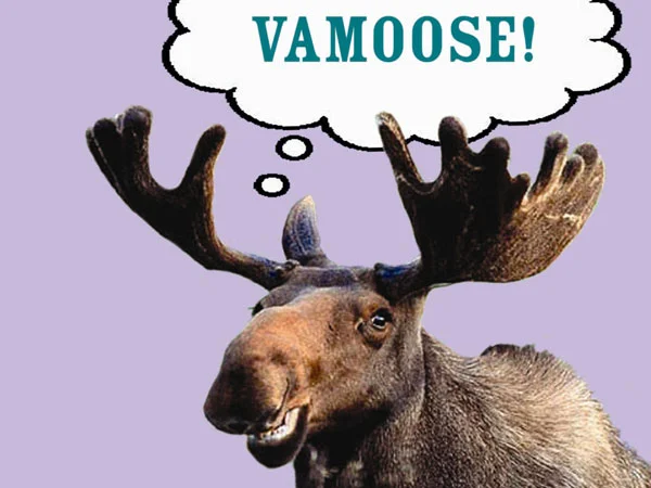Vamoose!