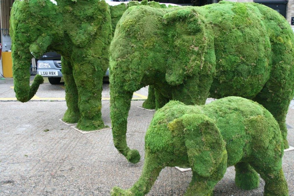 elephants and bouquet 010 - Copy.jpg