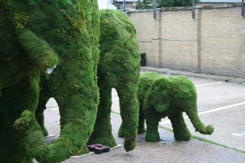 elephants and bouquet 019.jpg