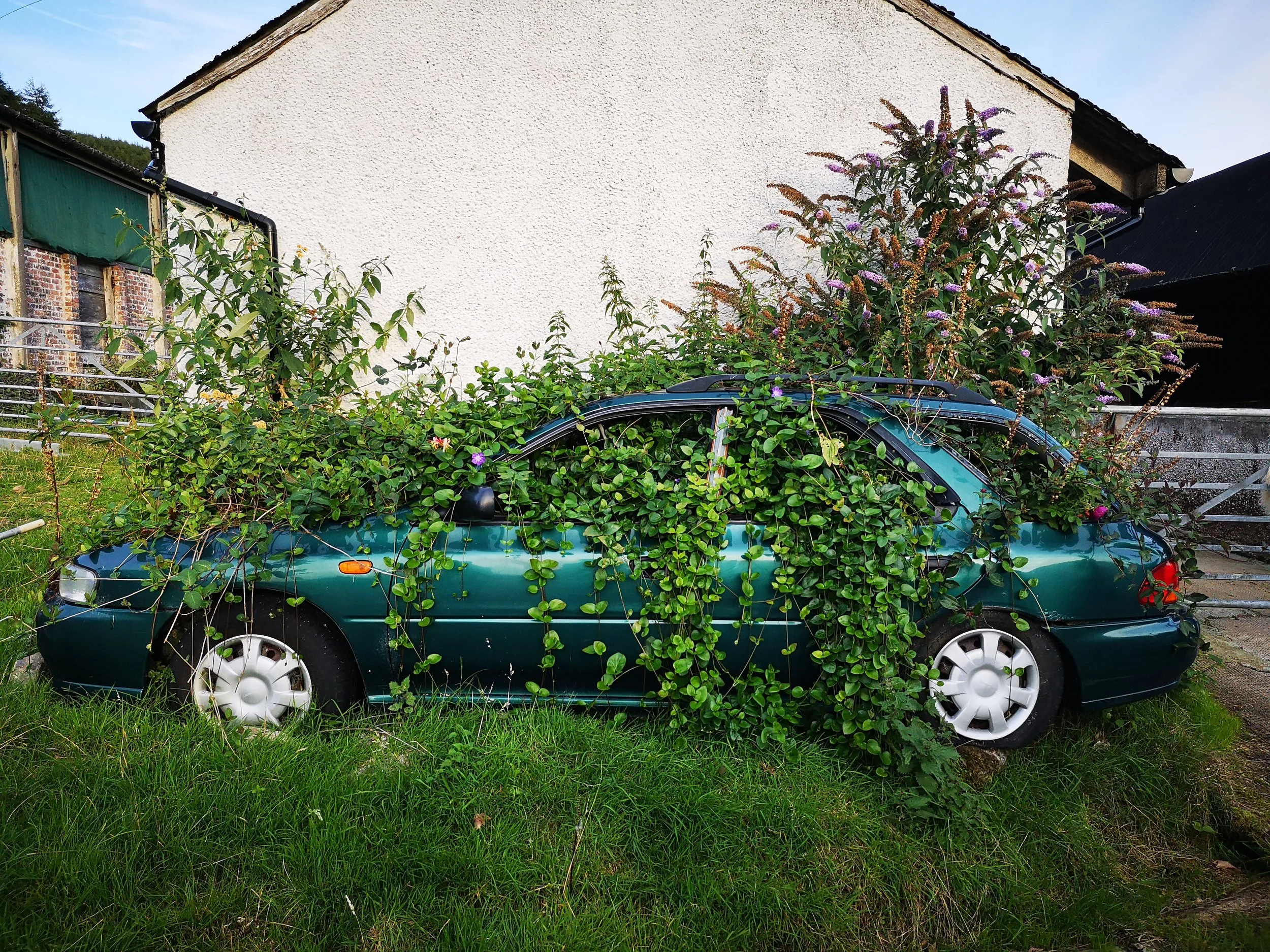 IMG_20180825_192106 (1).jpg