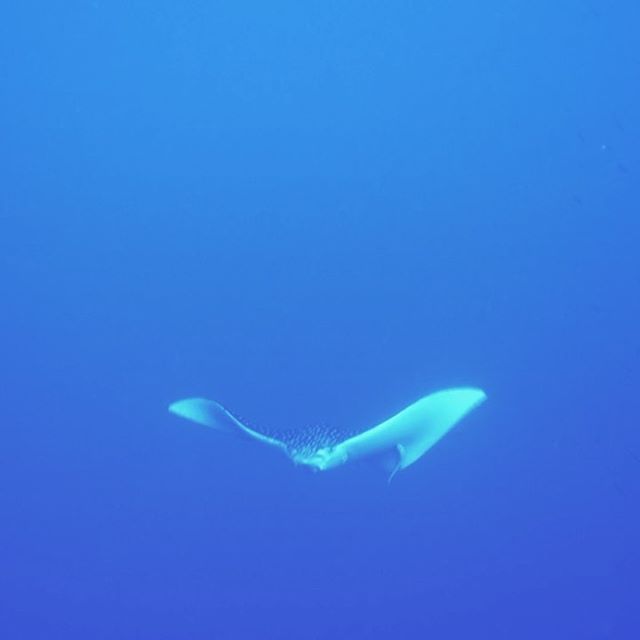 Slide 12
