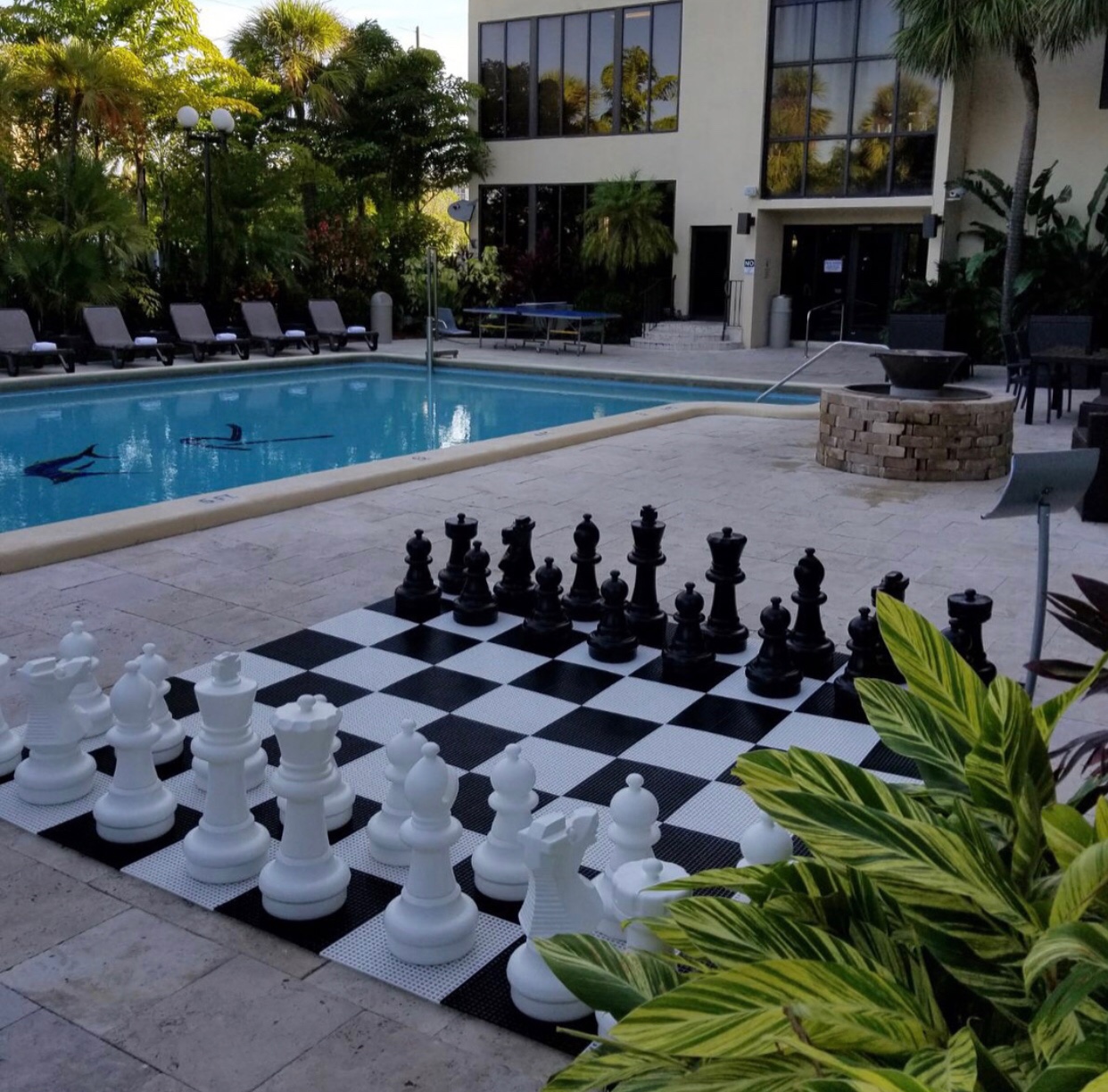 The Pool.jpg