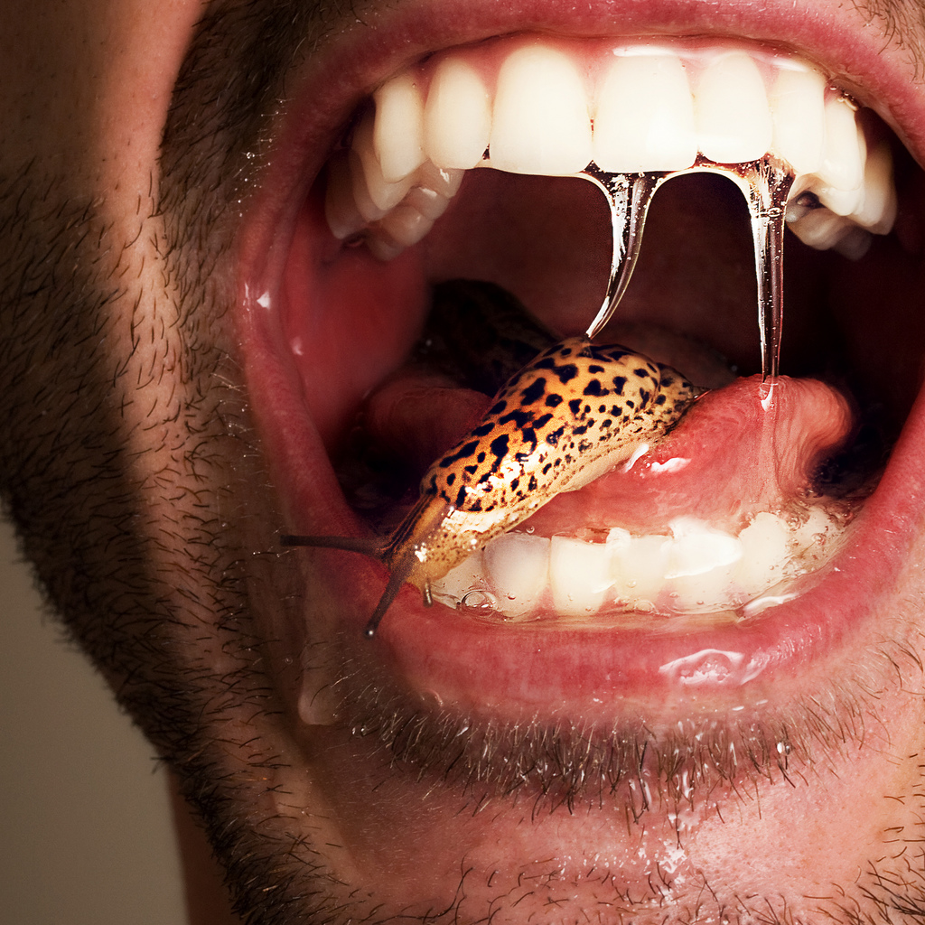 Kiss-me-im-sluggish.jpg