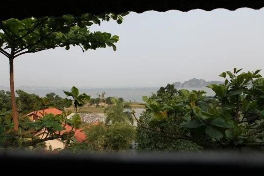 20130413-170005.jpg