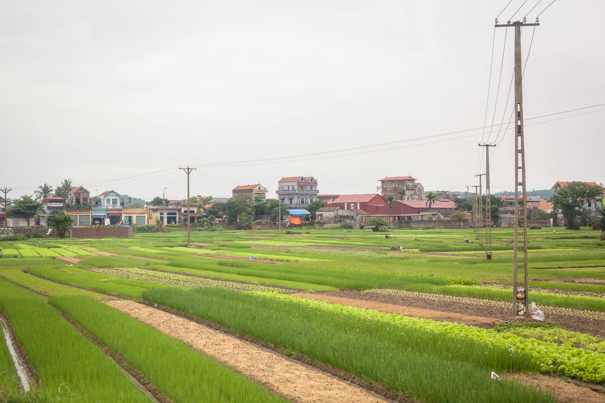 Wiegelmann-Vietnam-Hanoi-130410-12.jpg