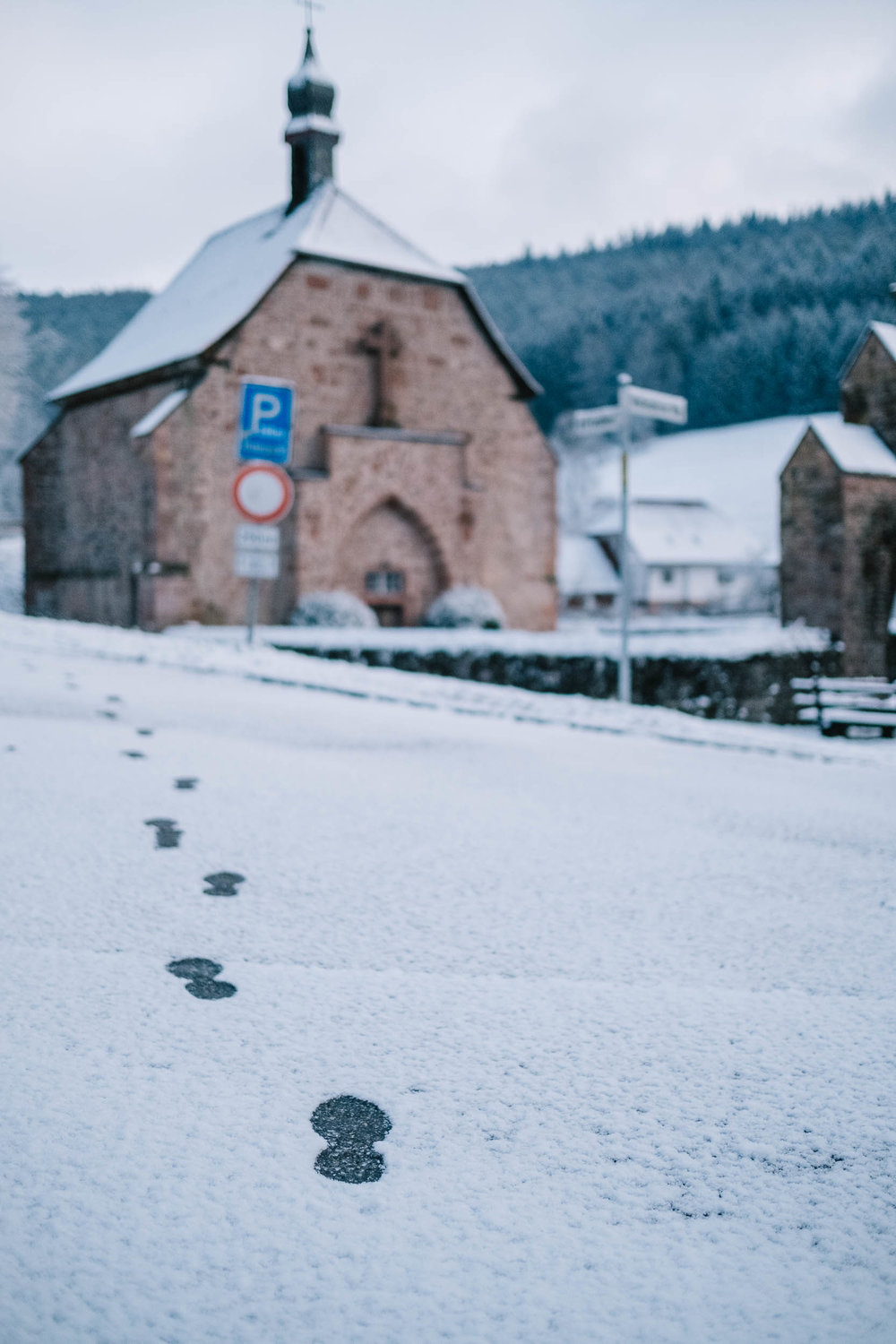 Odenwald-Liebe-190118-018.jpg