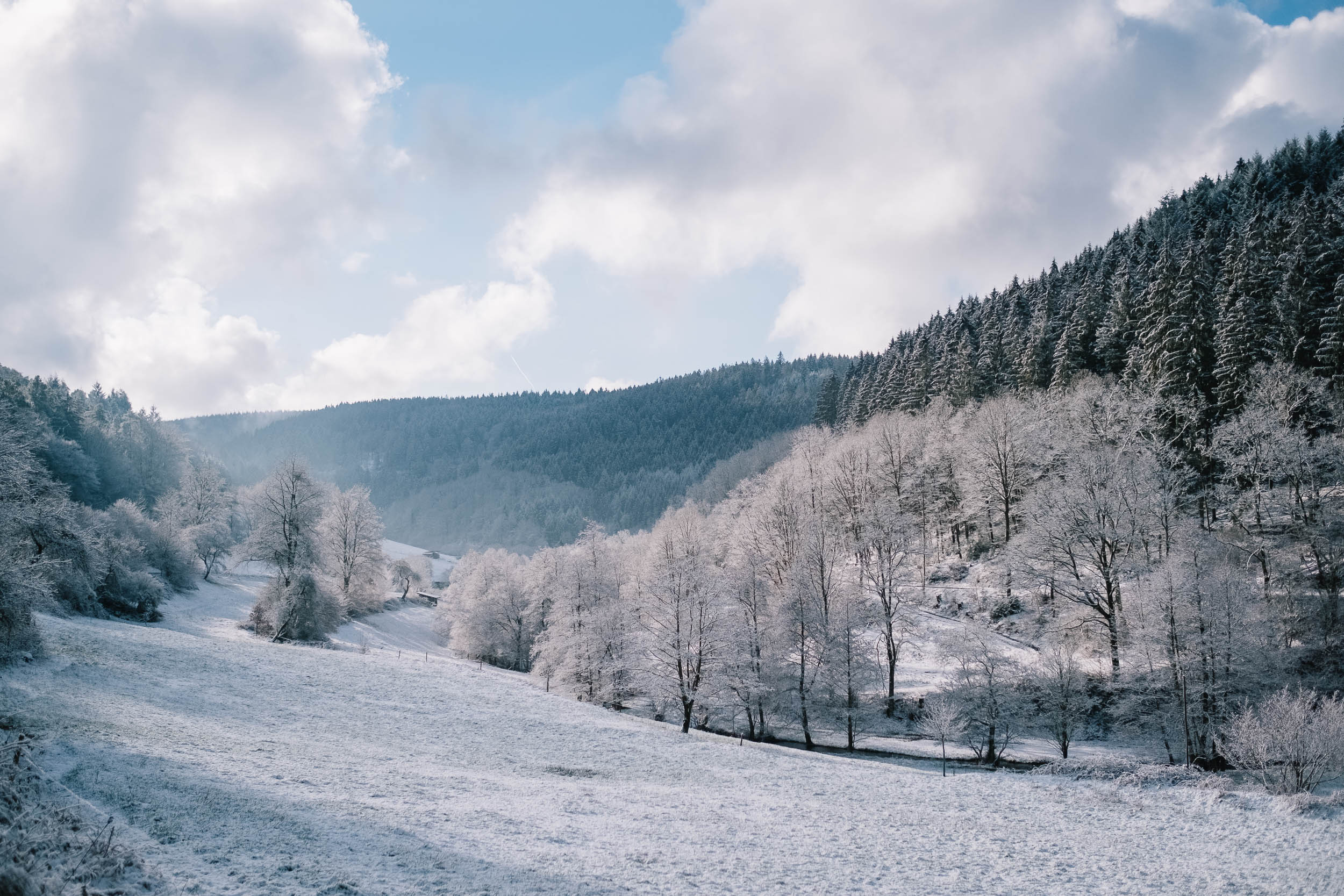 Odenwald-Liebe-190118-026.jpg