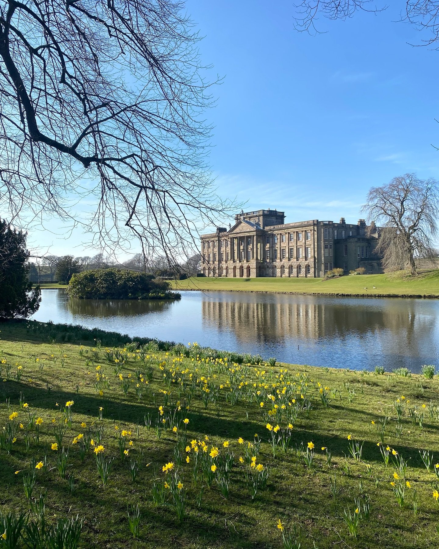 Lyme park is always a favourite place, but especially at spring time🪻🌼 

#lymepark #lymeparknationaltrust #nationaltrust #disley #lymeparkgardens #springgardens #hyacinths #daffodil #springflower #walkinthepark #walkinthesunshine☀️ #manchestersun
