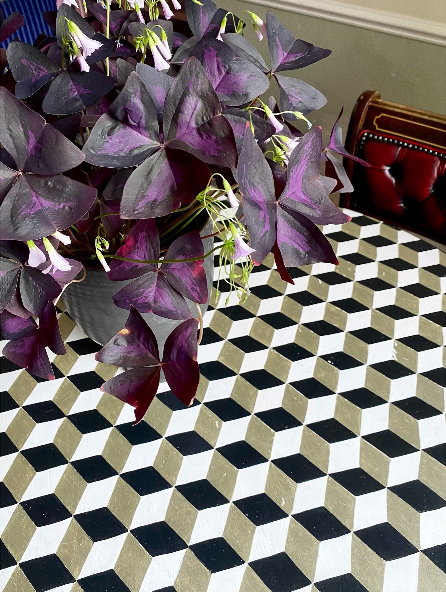 She&rsquo;s so fabulous 🤩

#oxalis #oxana #oxalistriangularis #patchplants #paintedfurniture #handpaintedtable #3dcube #houseplantsclub #interiorstyling #interiorstylists #cornerofmyhome #burgundy #burgundylover