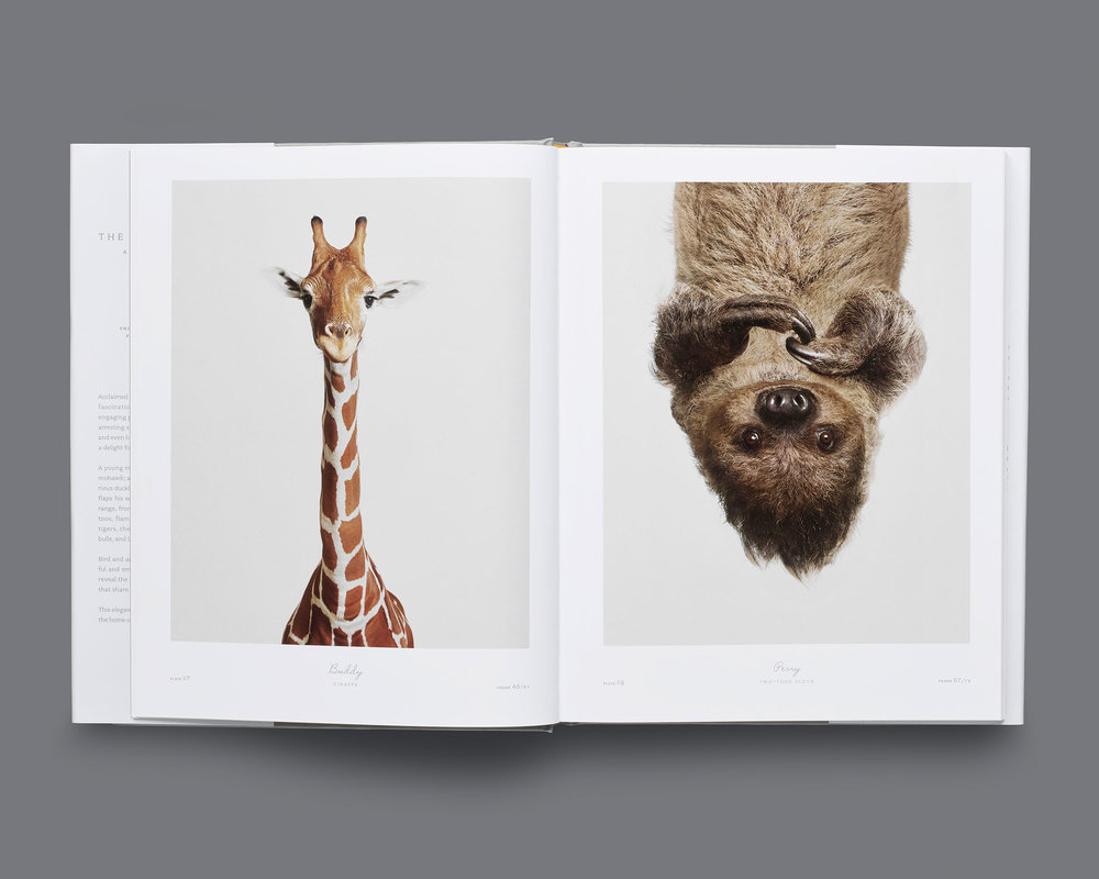 Book, The Animal Kingdom: A Collection of Portraits — Randal Ford