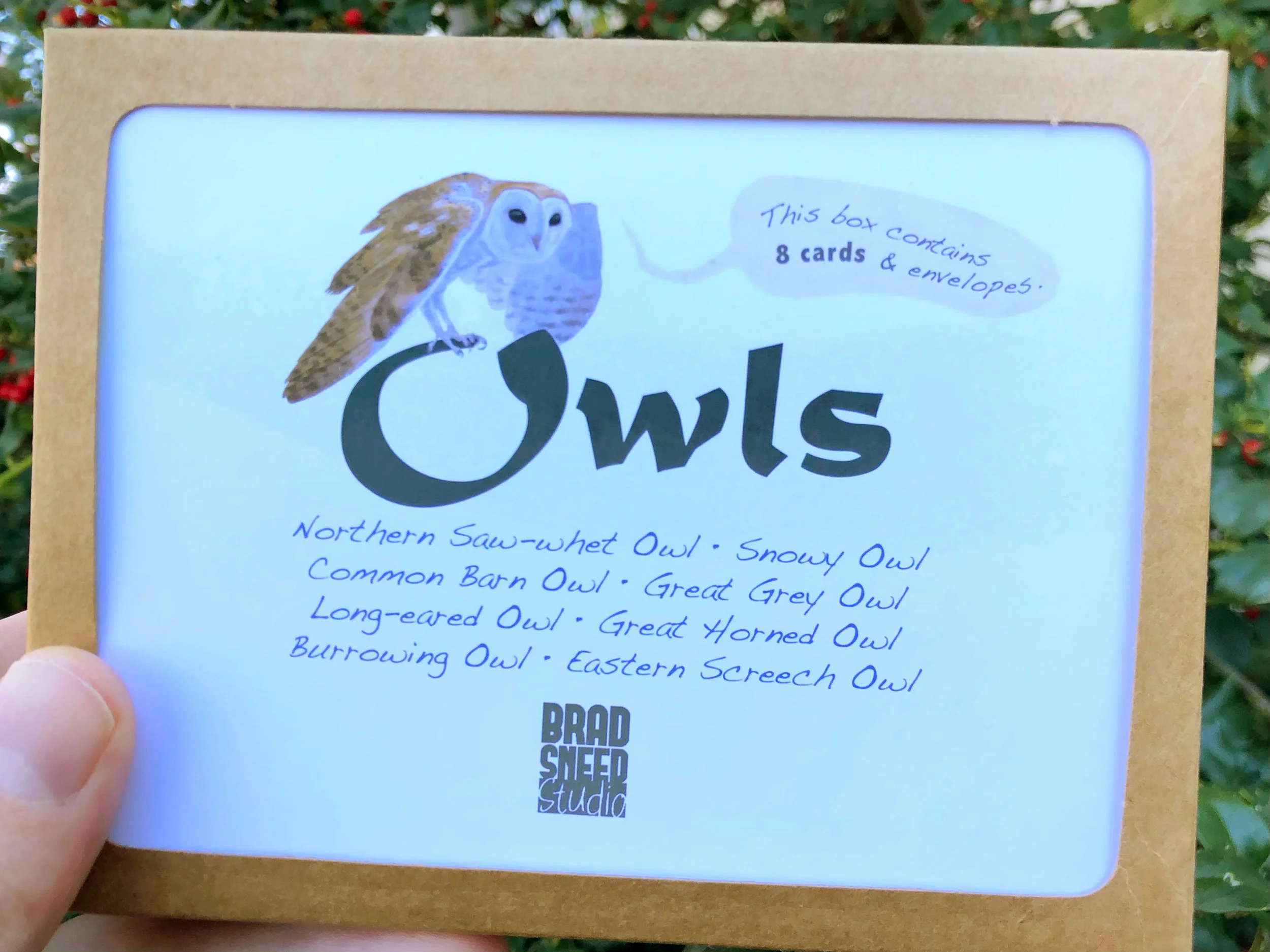 Owls Box.jpg