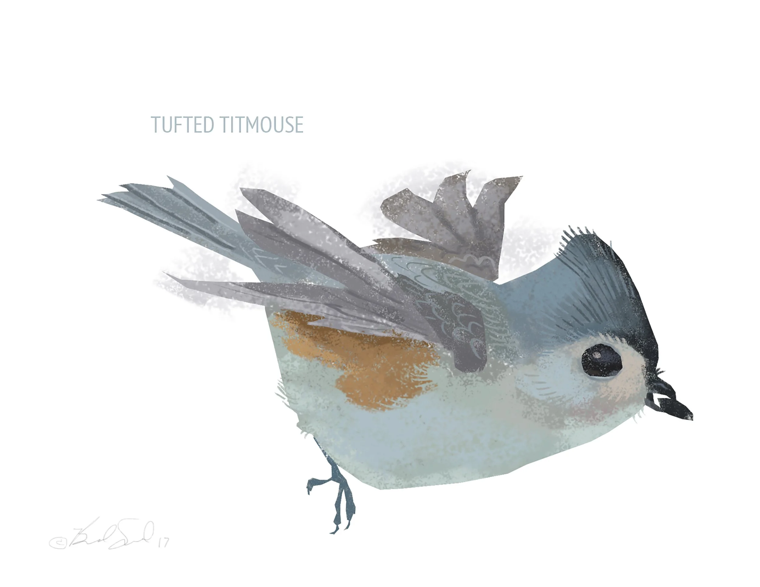 Tufted Titmouse_cardfront.jpg
