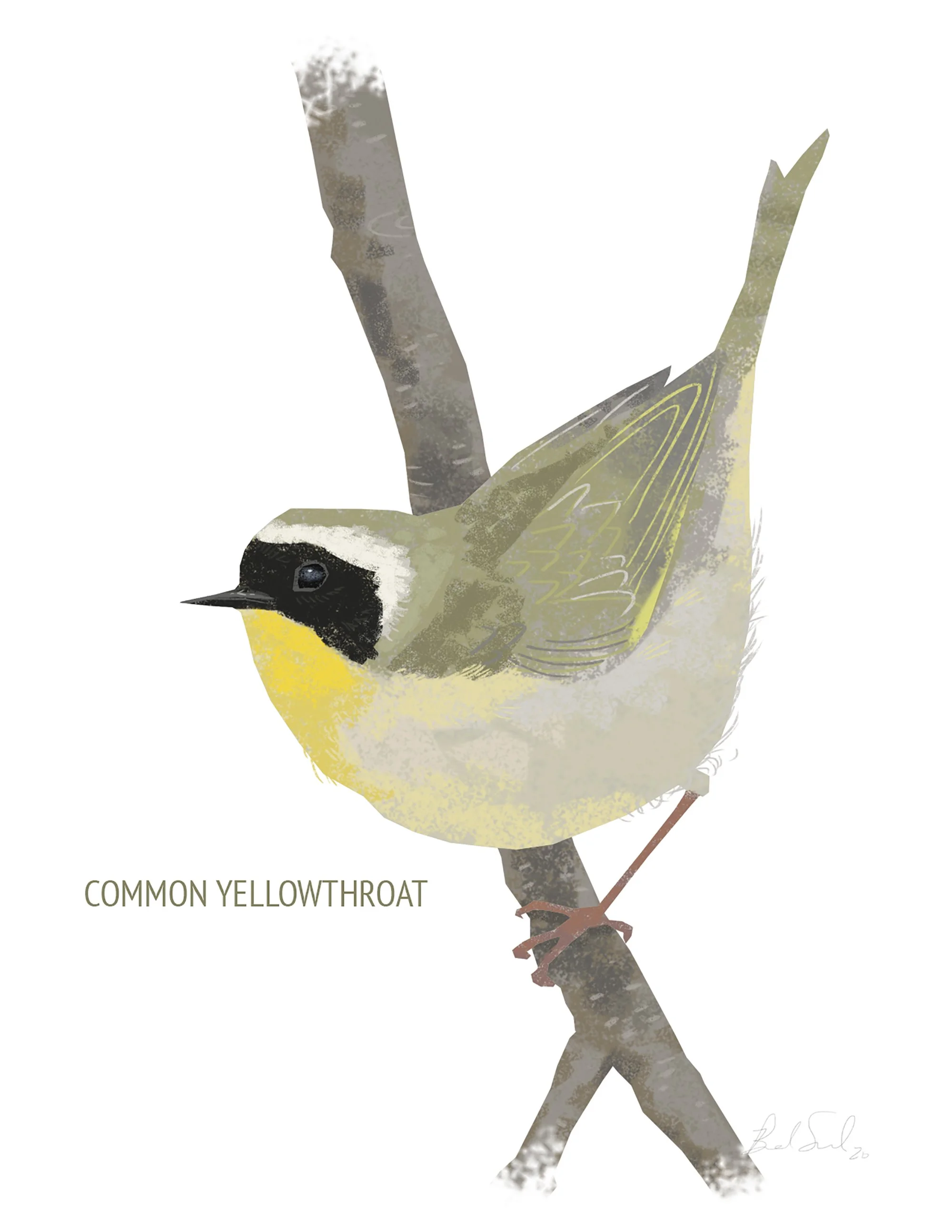 Common Yellowthroat_cardfront.jpg