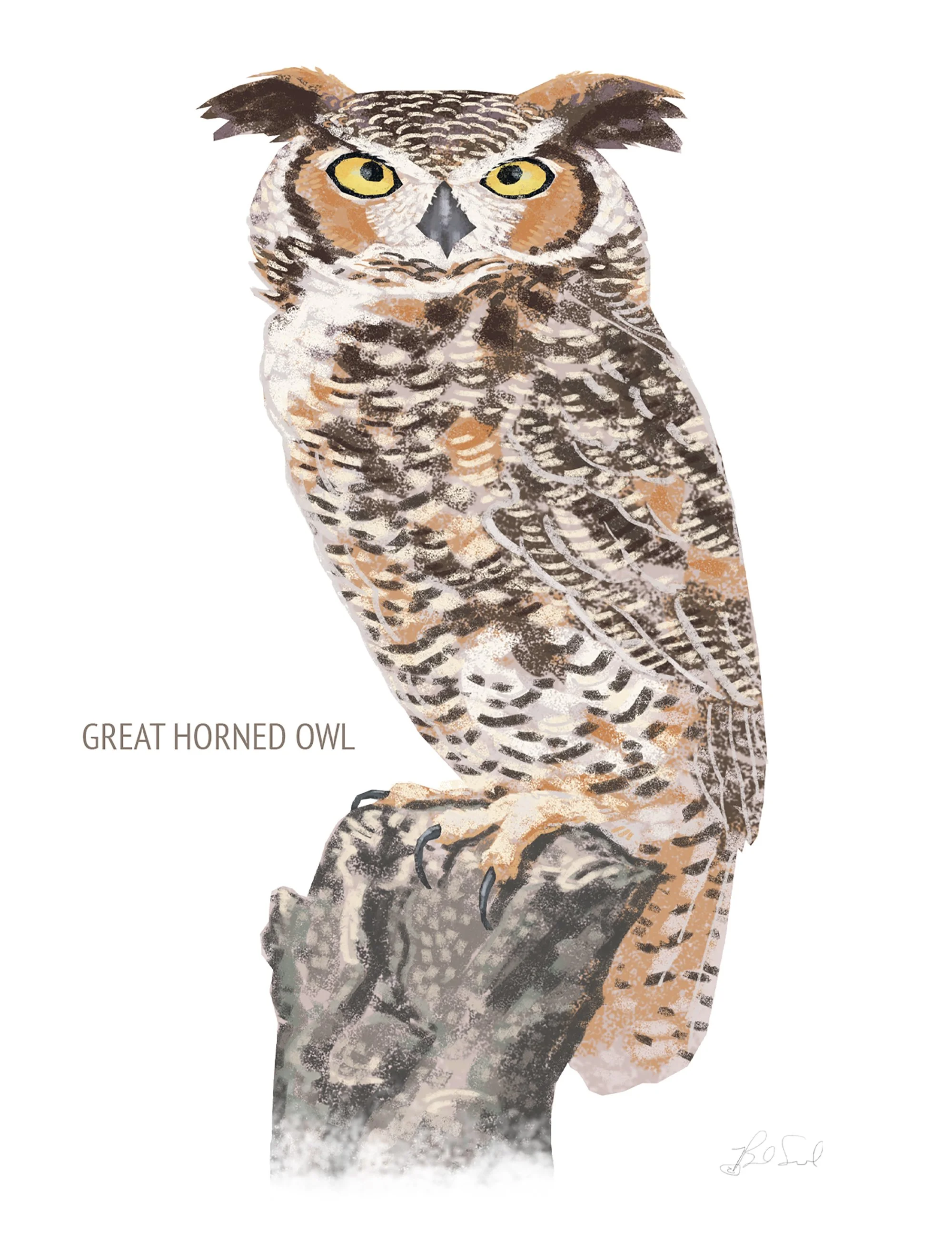Great Horned Owl_cardfront.jpg