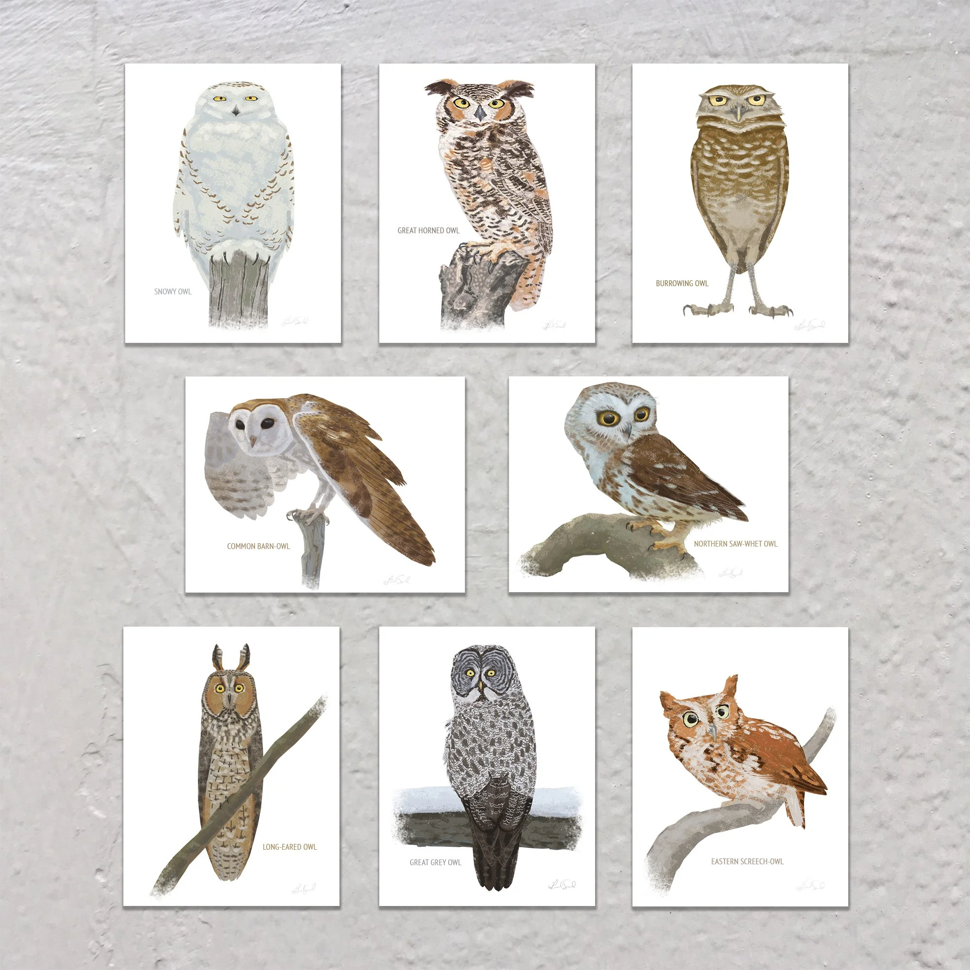 Owls Listing.jpg