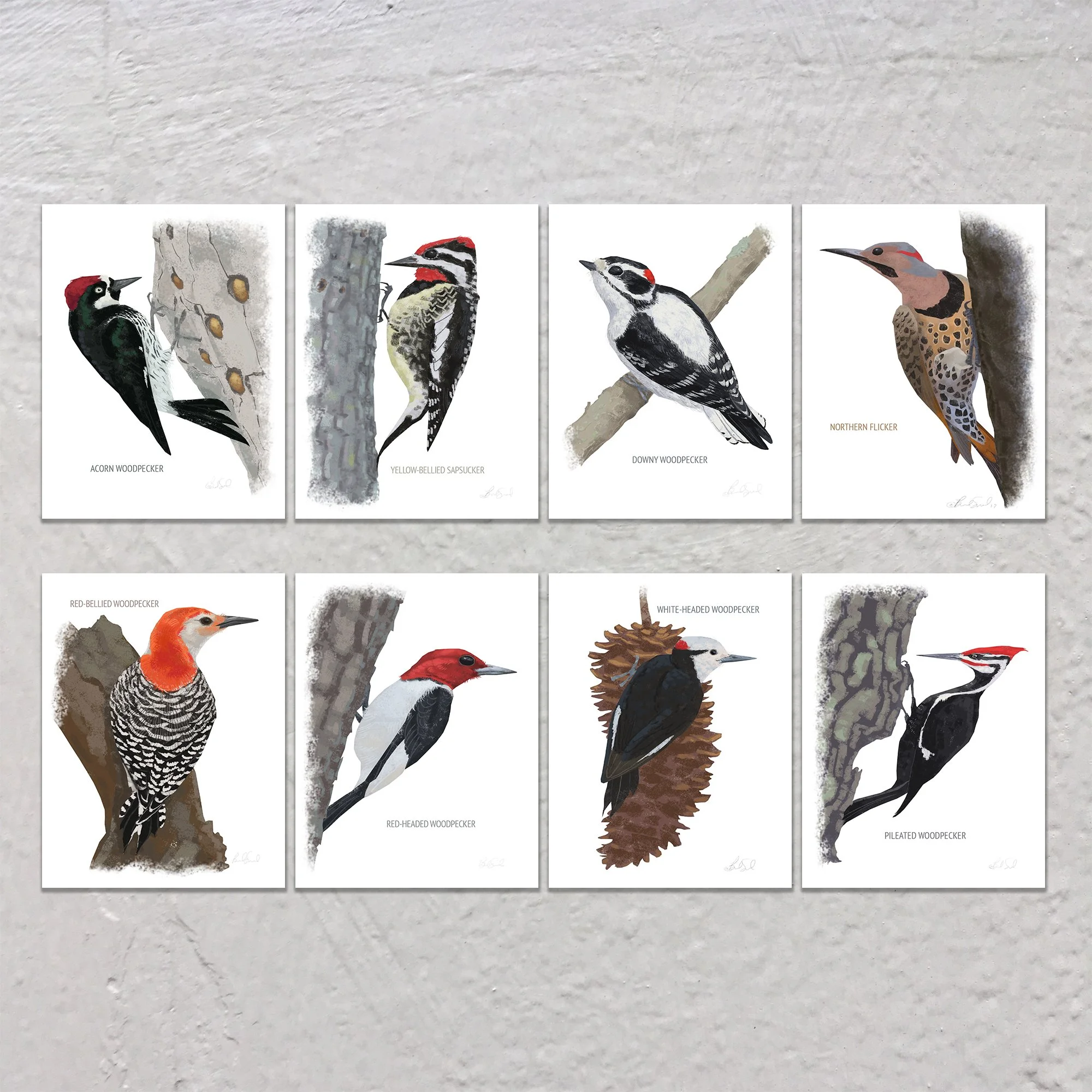 Woodpeckers Listing.jpg