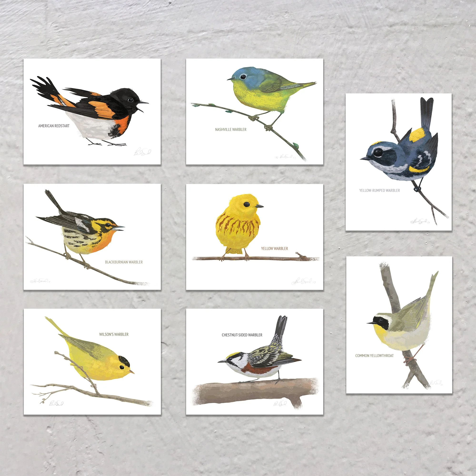 Warblers Listing.jpg