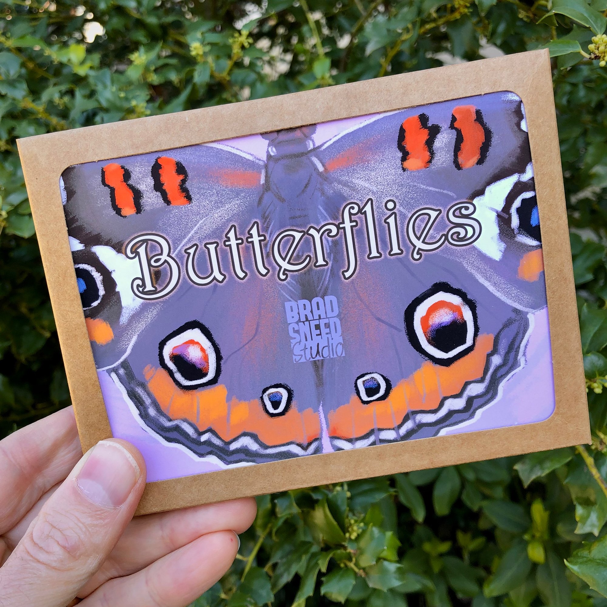 Butterflies Box.jpg