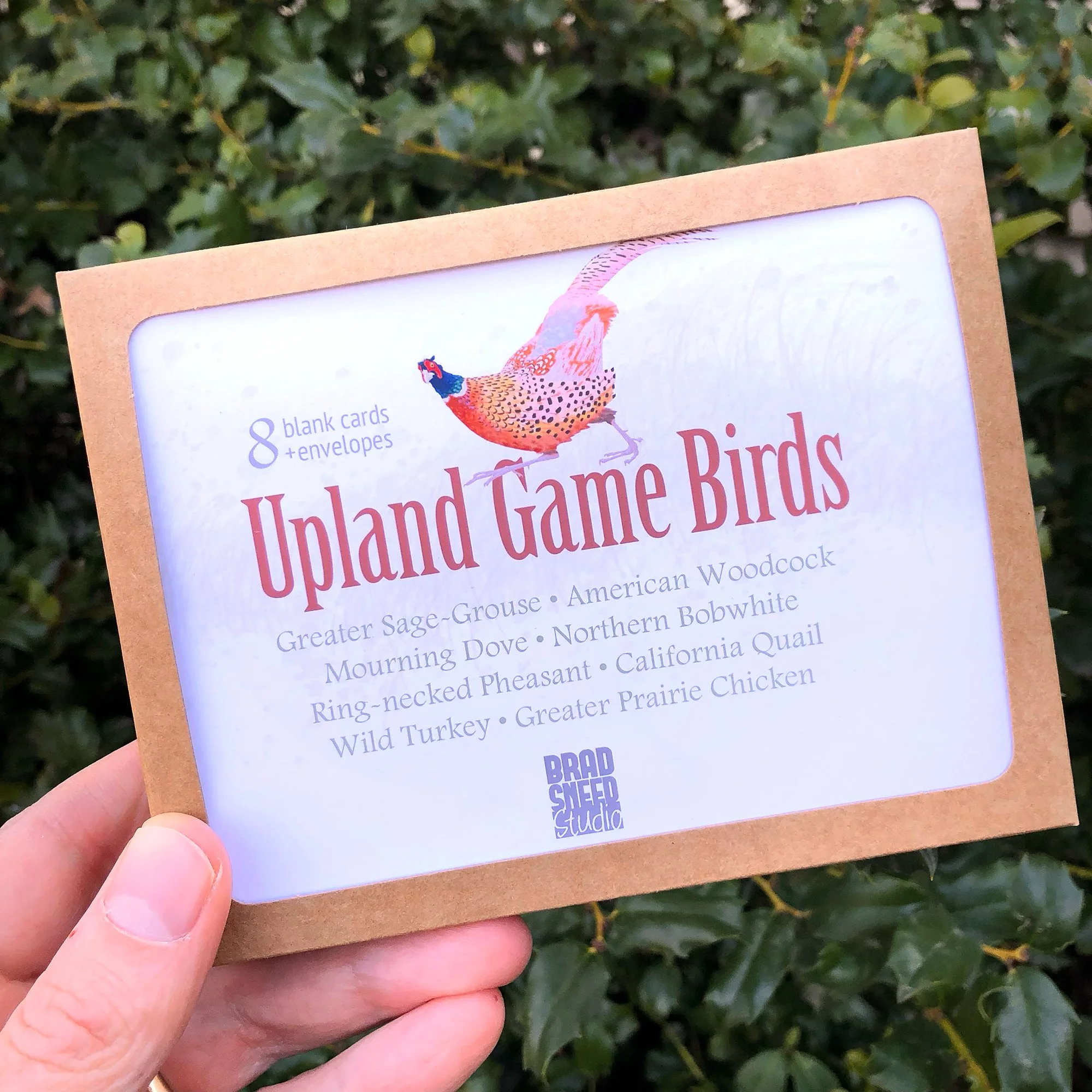 Upland Gamebirds_Box.jpg