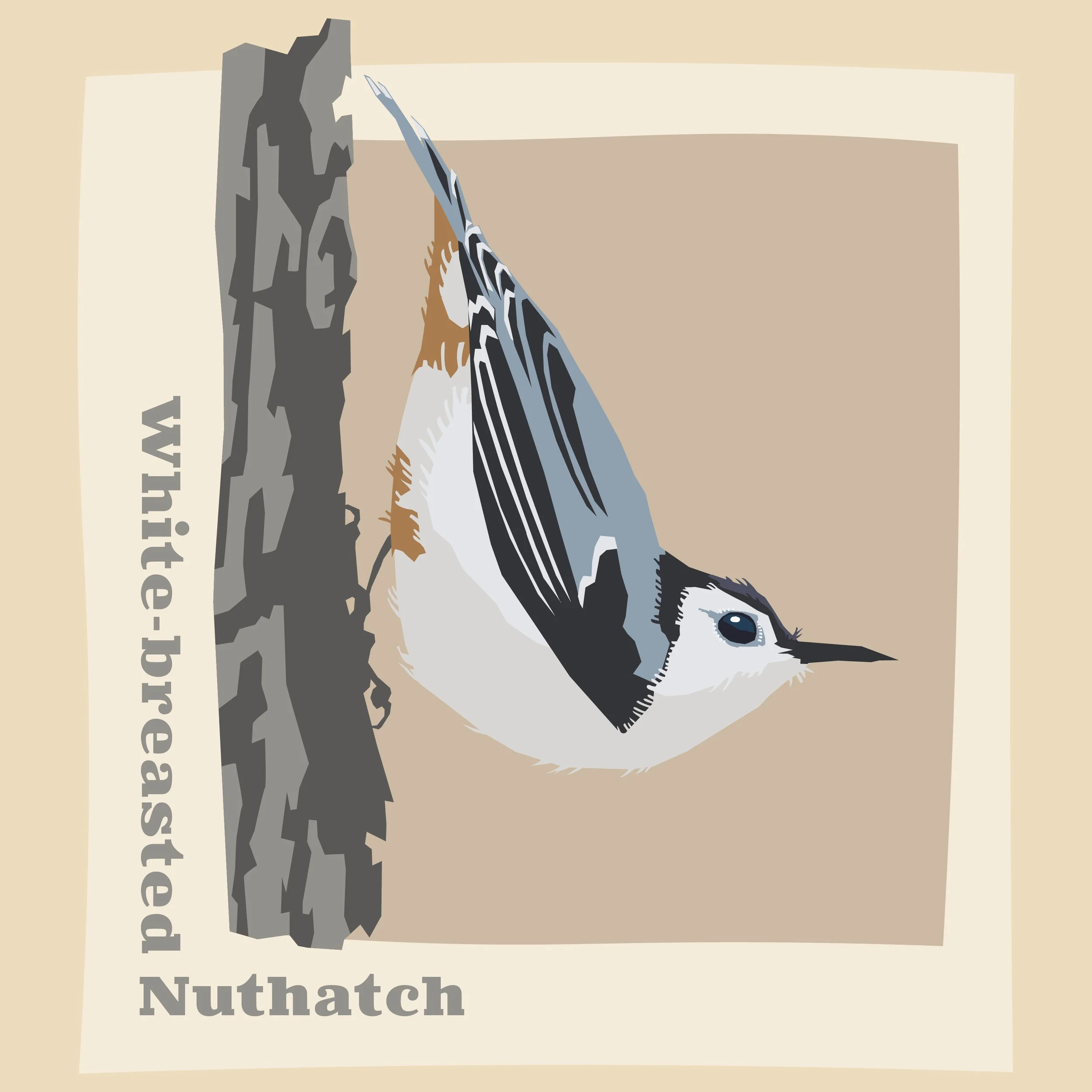 White-breasted Nuthatch_Cut Paper Style copy.jpg