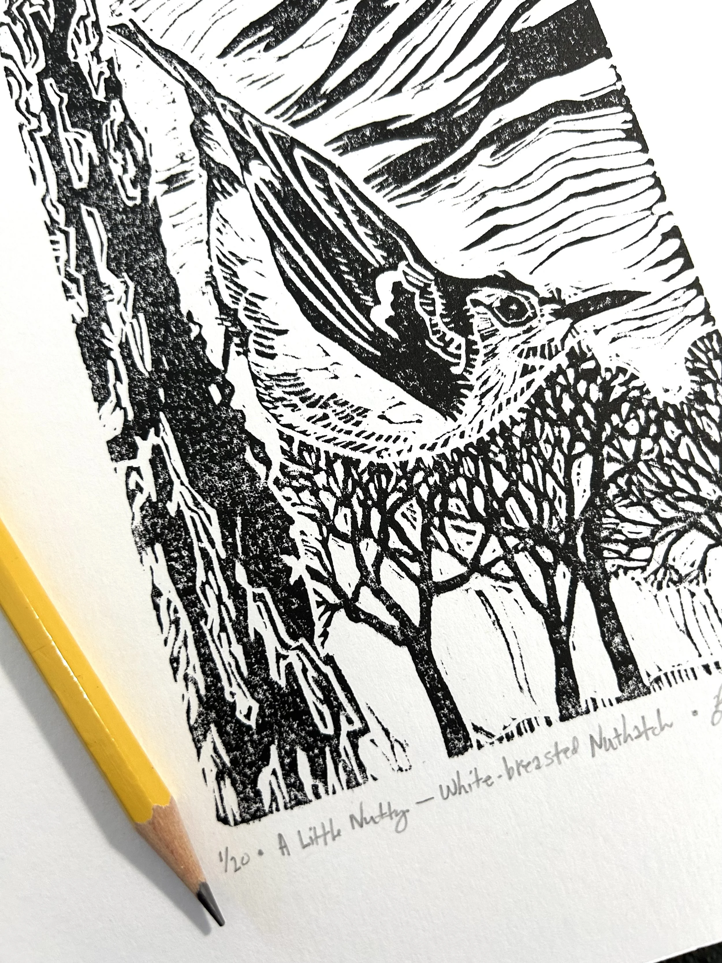 A Little Nutty Linocut_Photo 3.jpeg