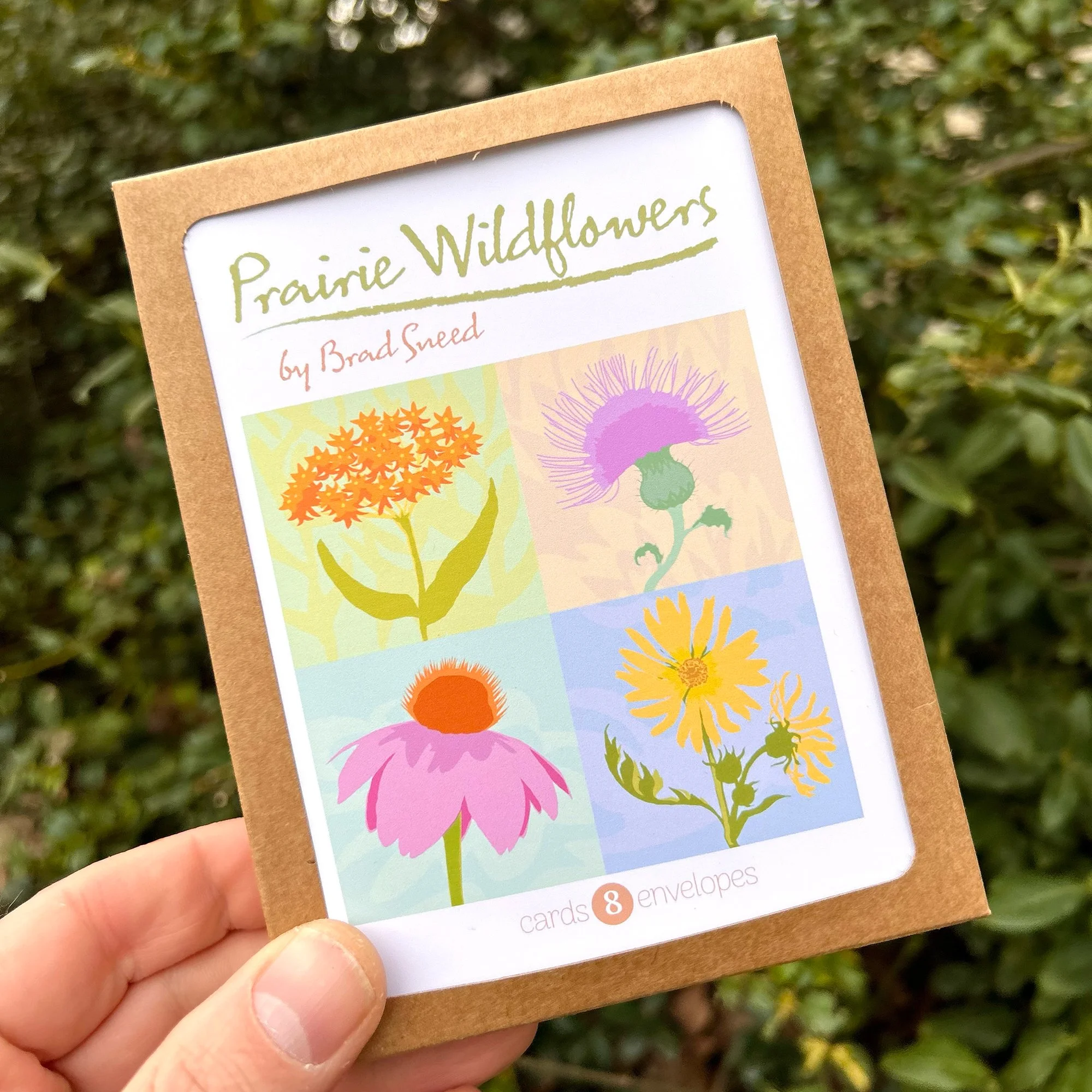 Prairie Wildflowers Box.jpg