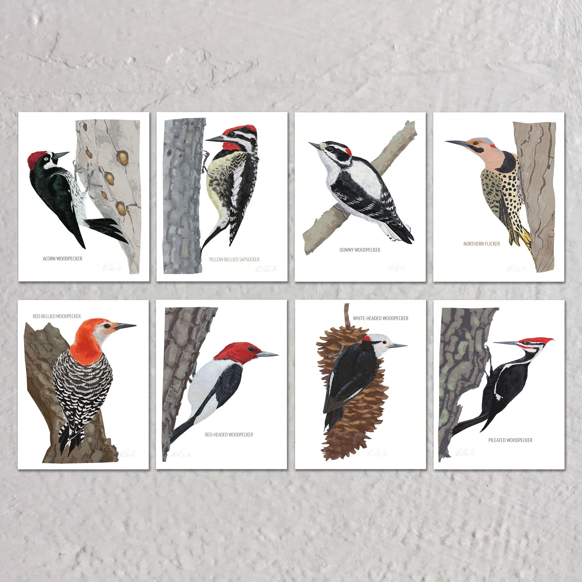 Woodpeckers Listing.jpg