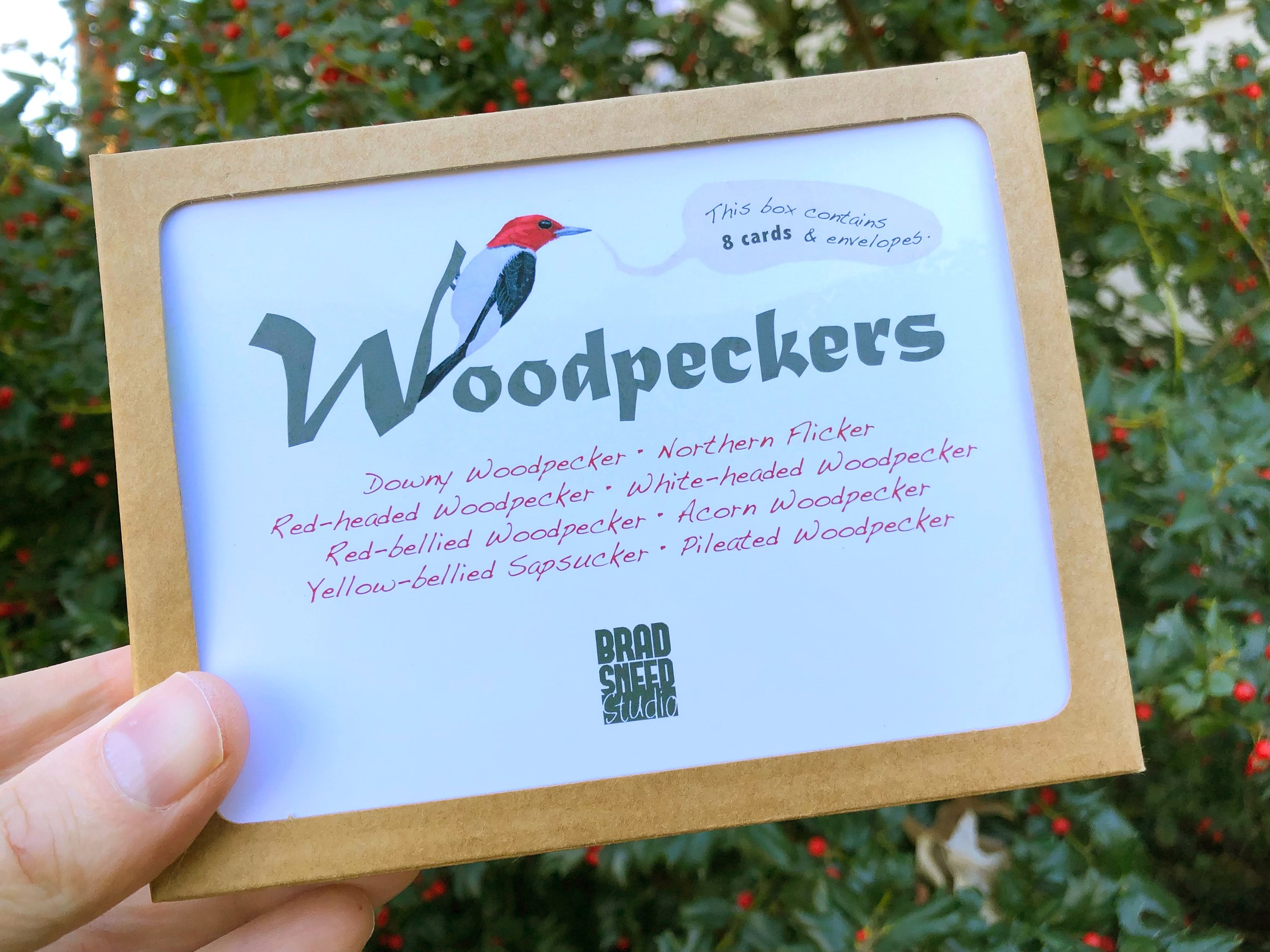 Woodpeckers Cards Box.jpg